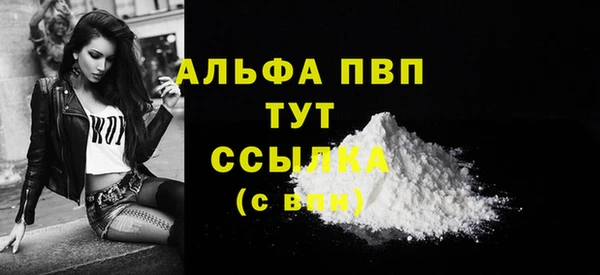 дмт Богданович