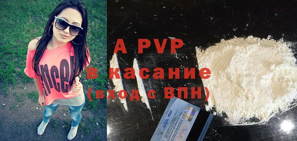 дмт Богданович