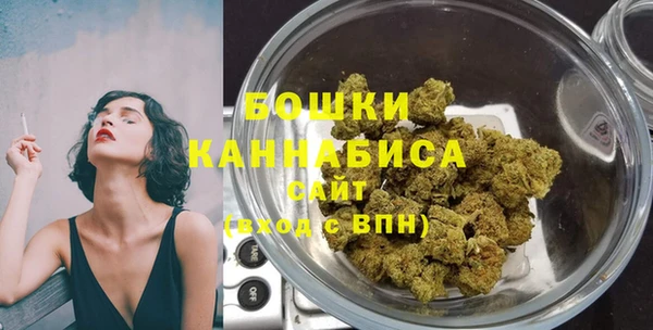 дмт Богданович