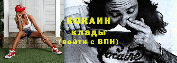 дмт Богданович
