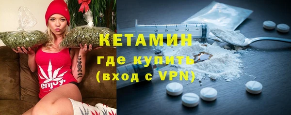 дмт Богданович