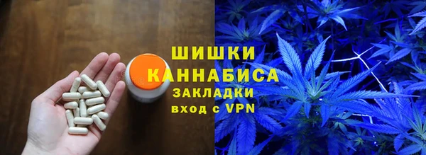 дмт Богданович